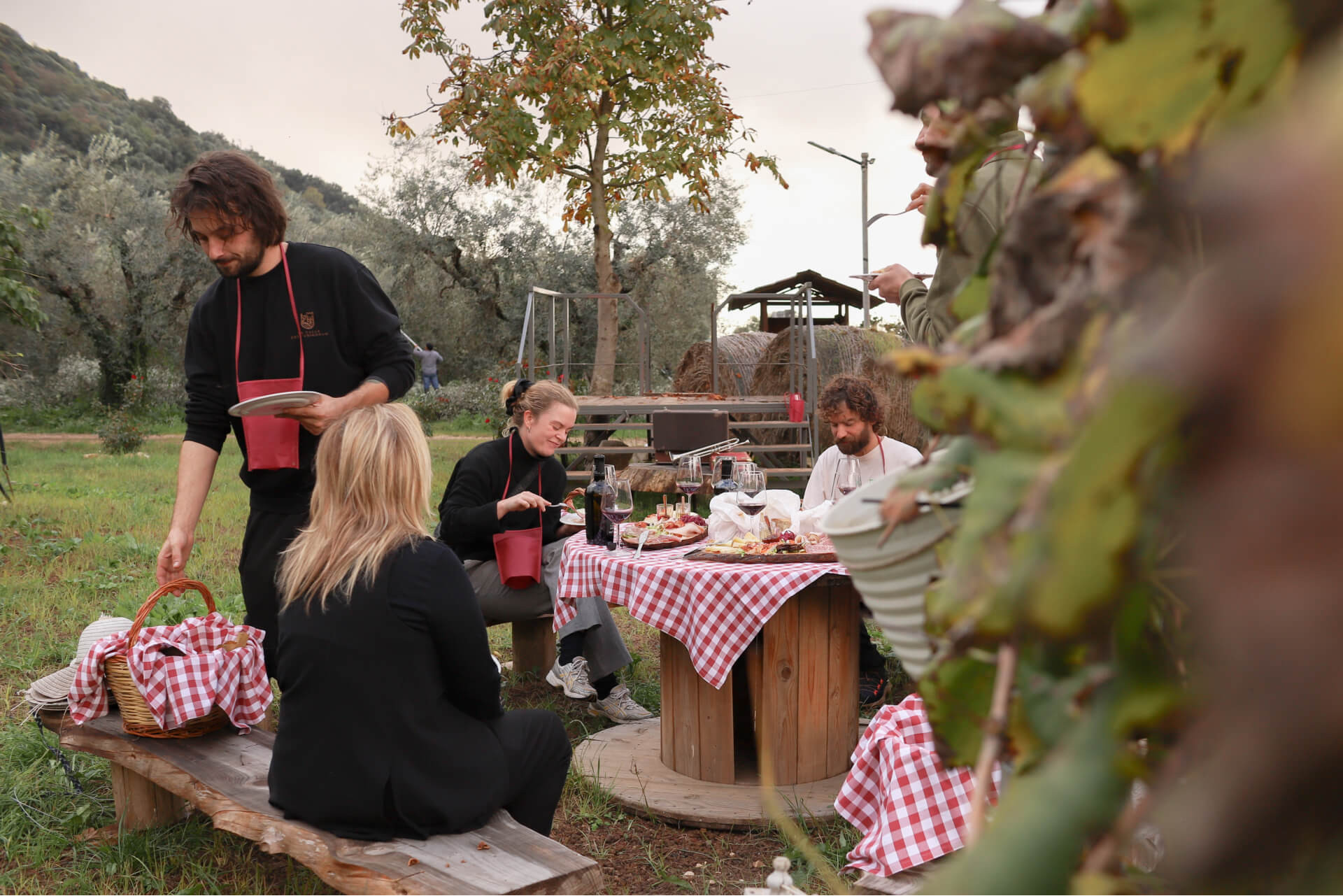 Aperinic - Picnic In Vigna