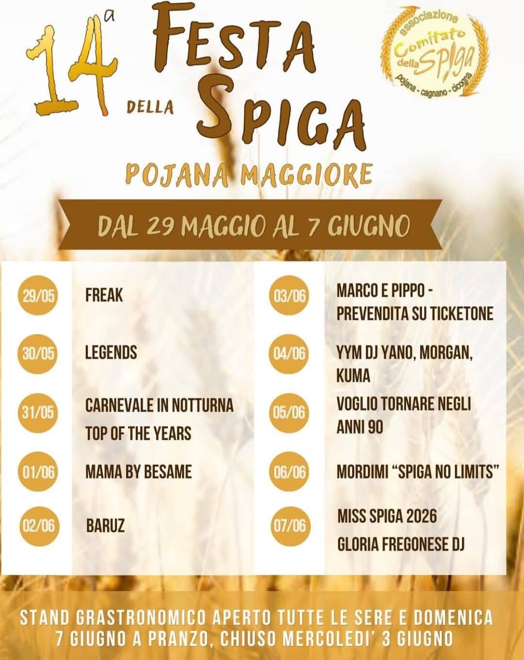 Festa della Spiga