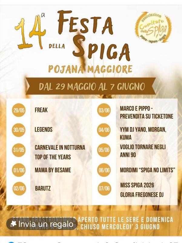 Festa Della Spiga A Pojana Maggiore