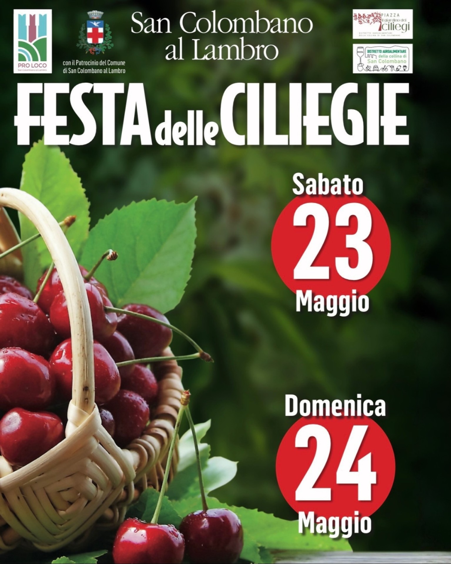 Festa delle Ciliegie a San Colombano al Lambro