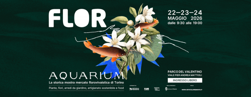 Flor A Torino