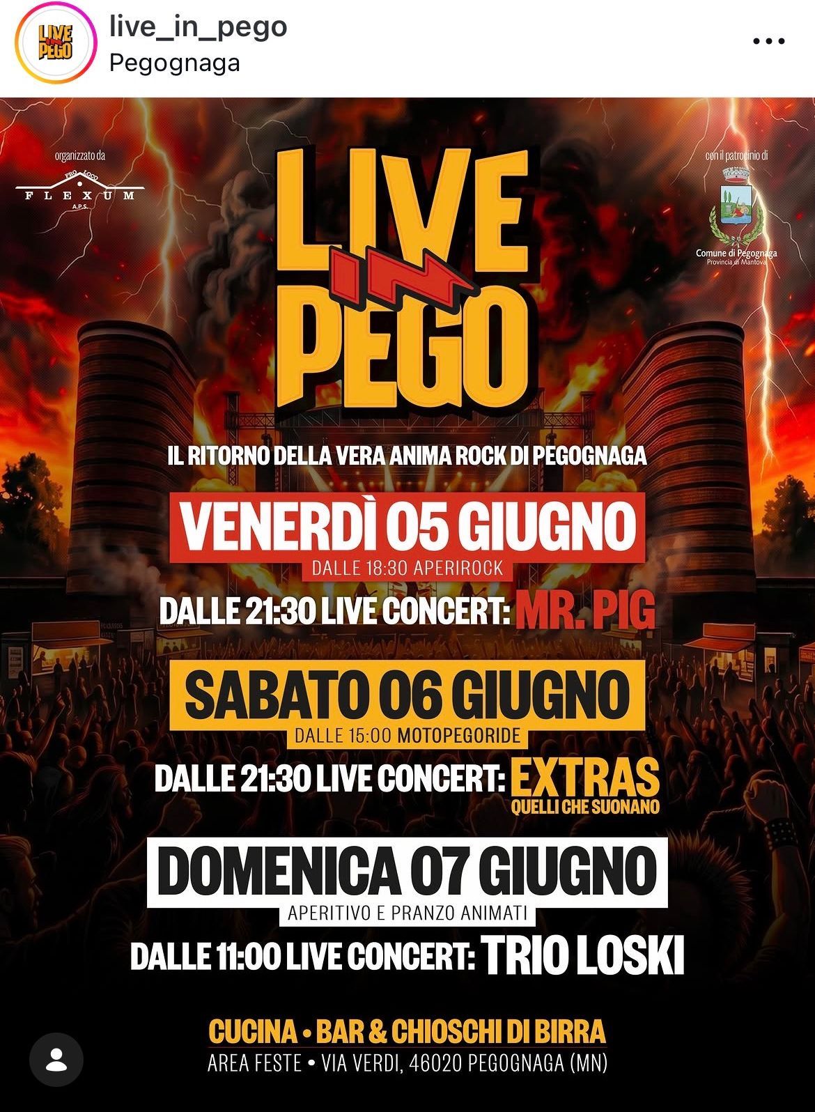 LIVE PEGO
