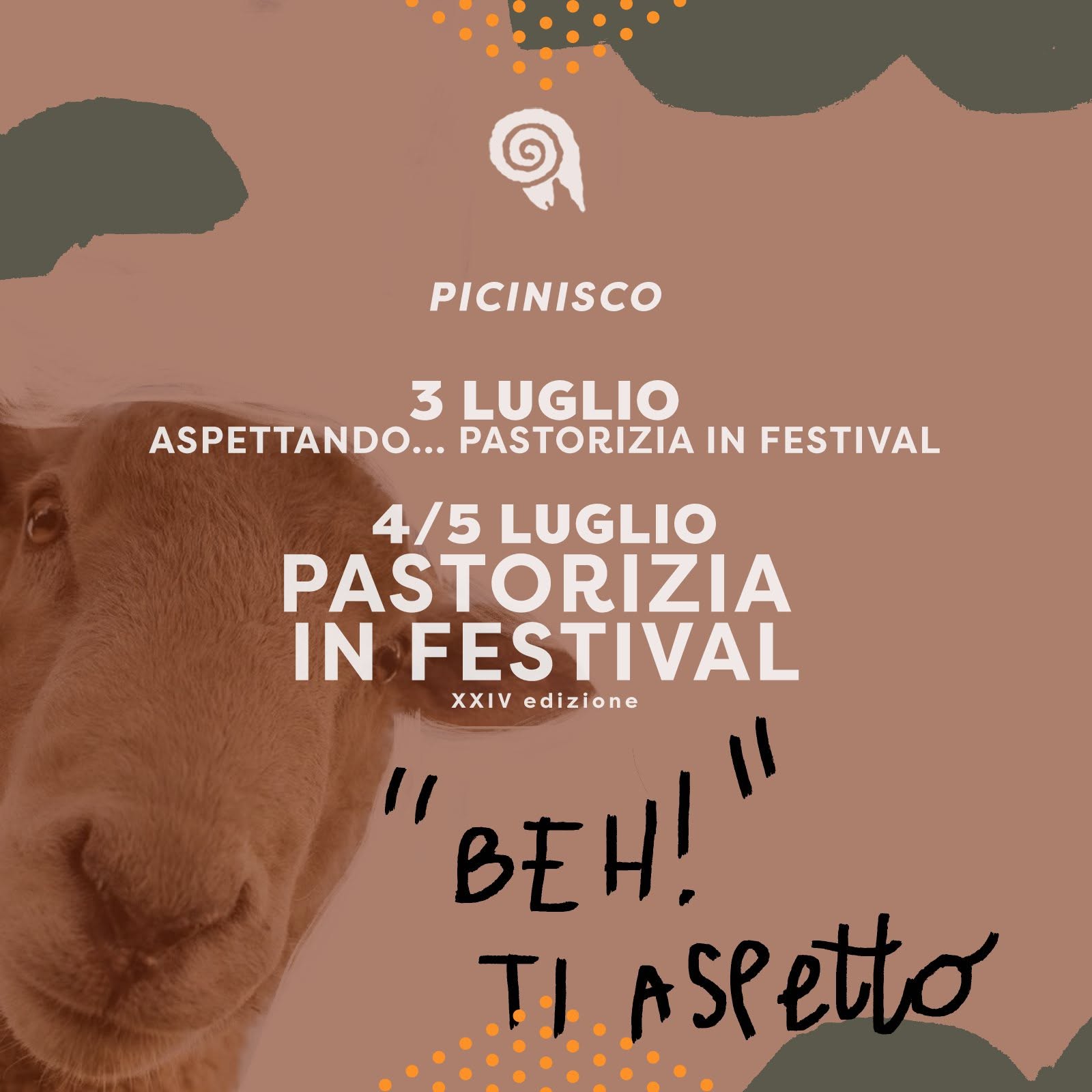 Pastorizia in Festival