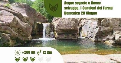 Trekking Ai Canaloni Del Farma – Natura Selvaggia & Bagno