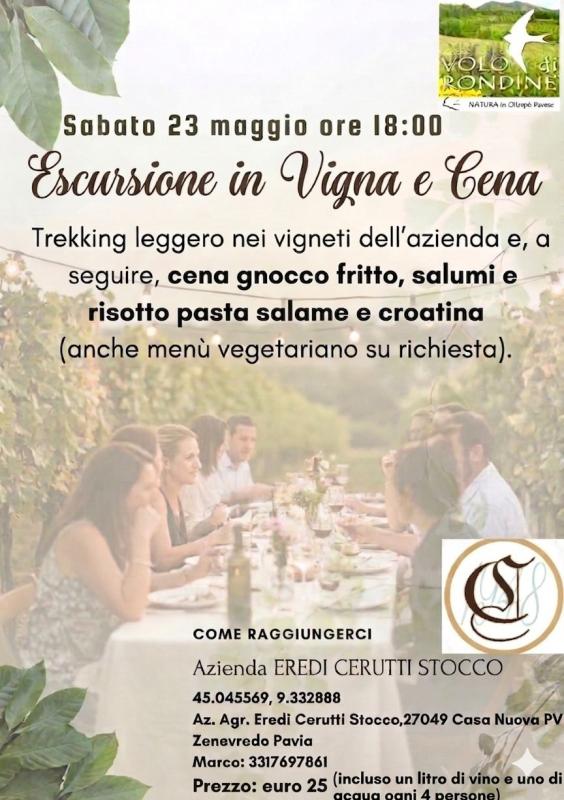 Trekking Leggero E Cena In Vigna